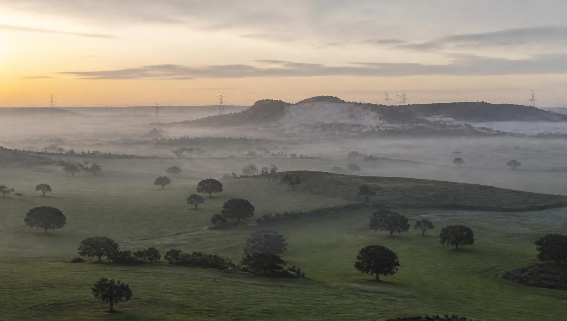 Paisagem alentejana ao amanhecer com linhas de transmissão no horizonte. Imagem ilustrativa de conceito institucional.